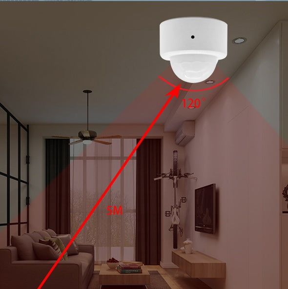 Intelligent Infrared Body Sensor